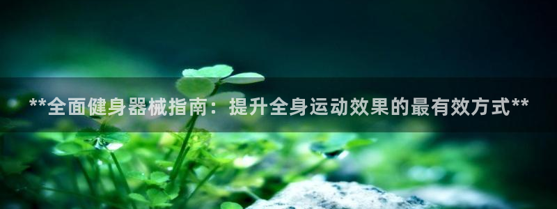 尊龙网址登录官网：**全面健身器械指南：提升全身运动