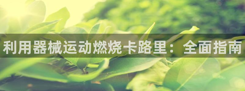 尊龙d88平台登录：利用器械运动燃烧卡路里：全面指南