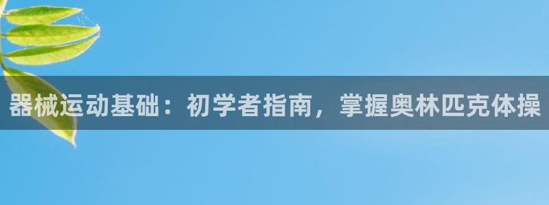 尊龙2020：器械运动基础：初学者指南，掌握奥林匹克